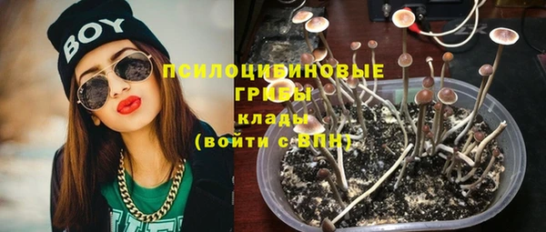 герыч Майский