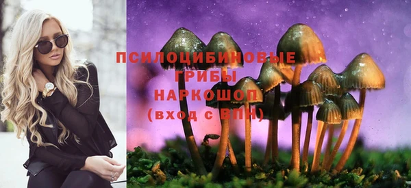 apvp Магас