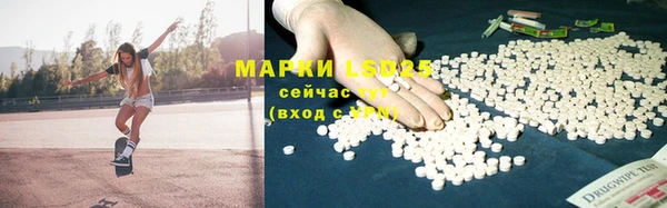 apvp Магас