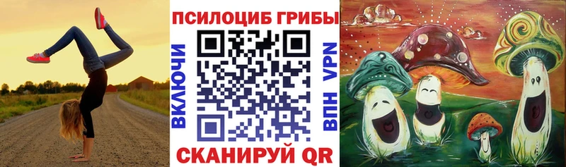 Купить закладки  Златоуст  Галлюциногенные грибы Cubensis 